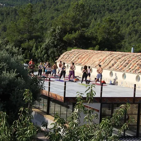 Mas De La Montana Del Cocodrilo 普埃尔托明加尔沃