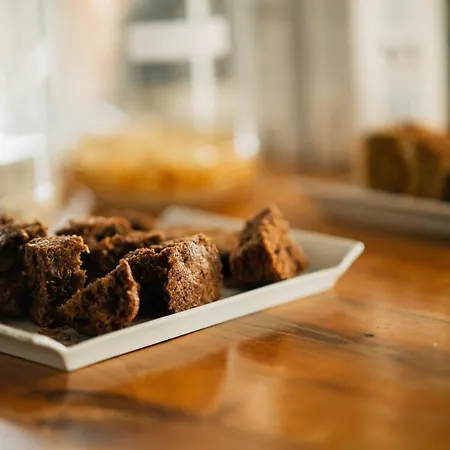 Mas De La Montana Del Cocodrilo 乡村民宿 普埃尔托明加尔沃