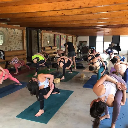 Mas De La Montana Del Cocodrilo 乡村民宿 普埃尔托明加尔沃