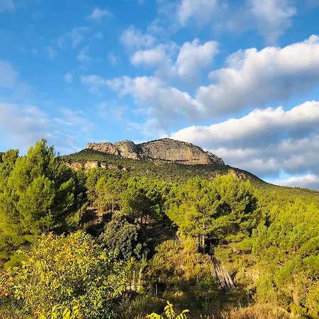 Mas De La Montana Del Cocodrilo * 普埃尔托明加尔沃