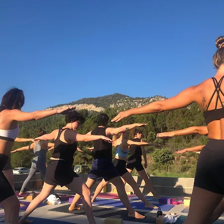 Mas De La Montana Del Cocodrilo