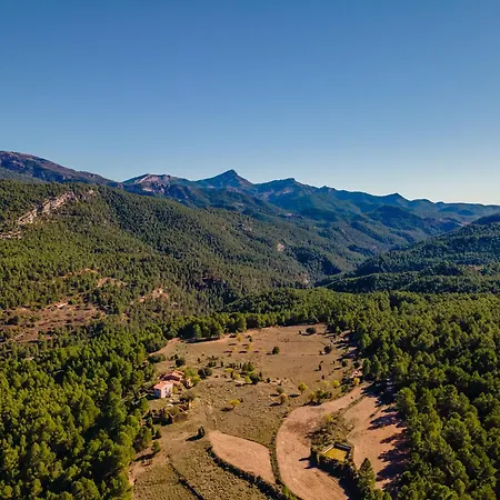 Mas De La Montana Del Cocodrilo *