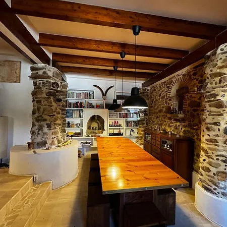 Mas De La Montana Del Cocodrilo