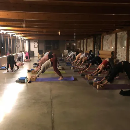 Mas De La Montana Del Cocodrilo 乡村民宿