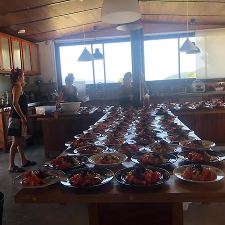 Mas De La Montana Del Cocodrilo *