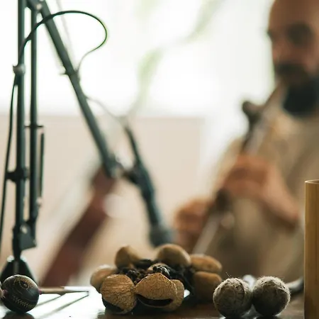 Mas De La Montana Del Cocodrilo 乡村民宿 *