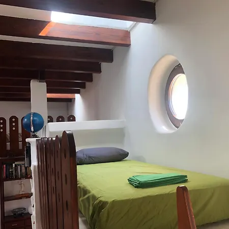 Mas De La Montana Del Cocodrilo * 普埃尔托明加尔沃