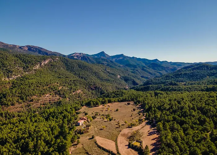 Mas De La Montana Del Cocodrilo *