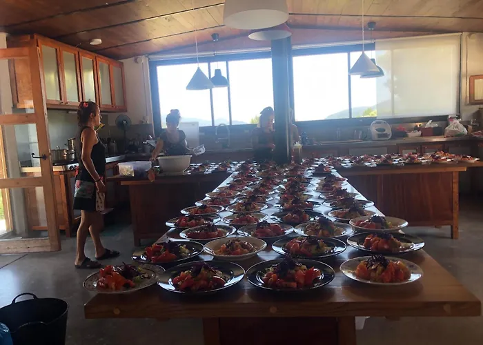 Mas De La Montana Del Cocodrilo *